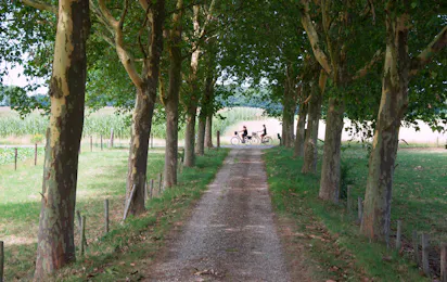 Hoeve Linnerveld
