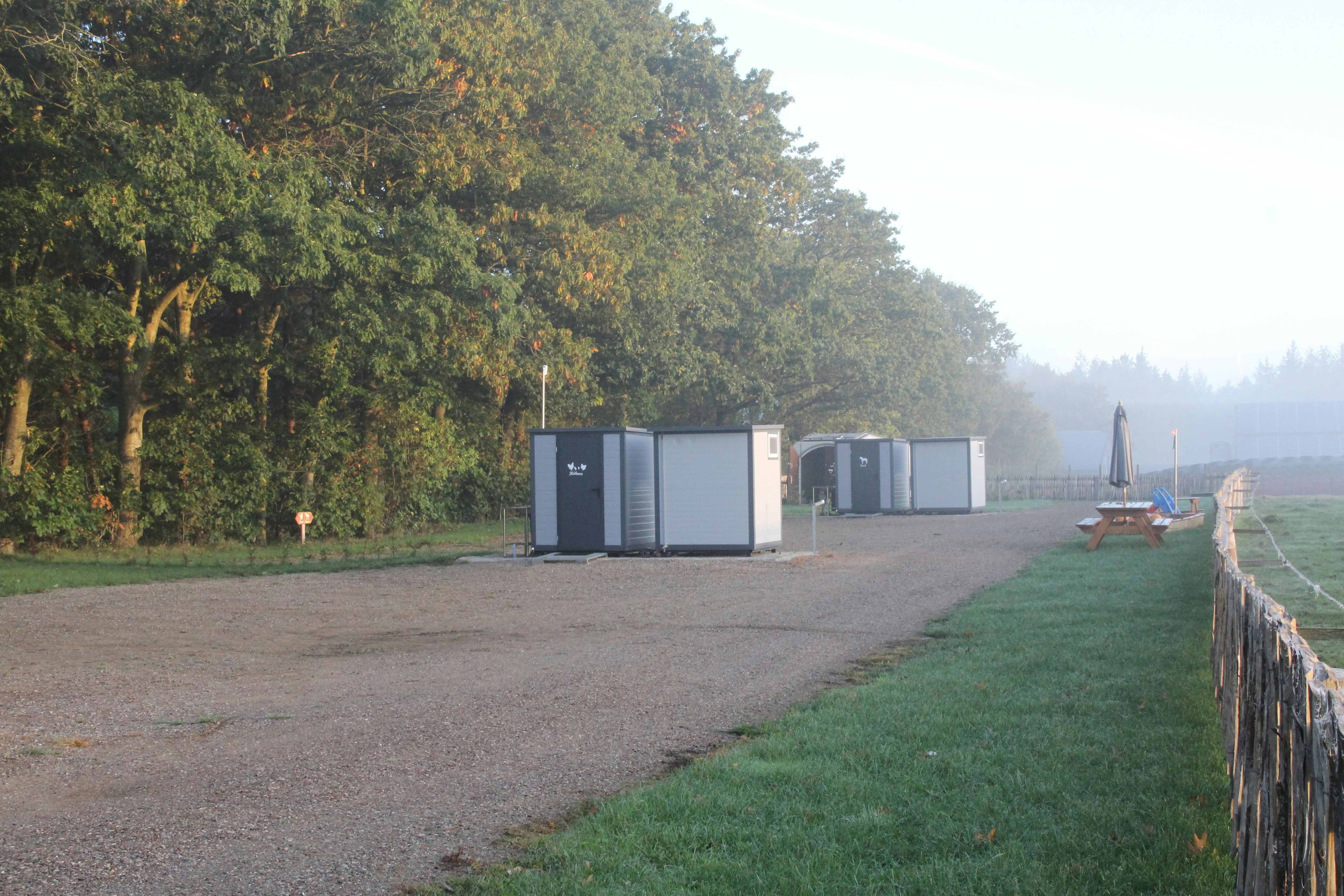 Campinghof Dreisprung - Blick auf die Standplätze am Waldrand