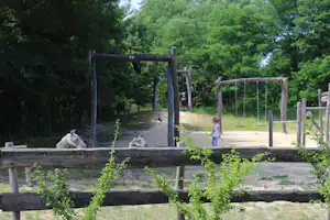 Spielplatz auf dem Campingplatz mit Holzschaukel, Sandboden und Bäumen im Hintergrund, daneben ein Weg und ein Zaun.