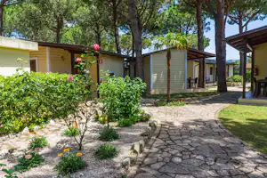 Holiday Village - Mobilheime unter Bäumen auf dem Campingplatz