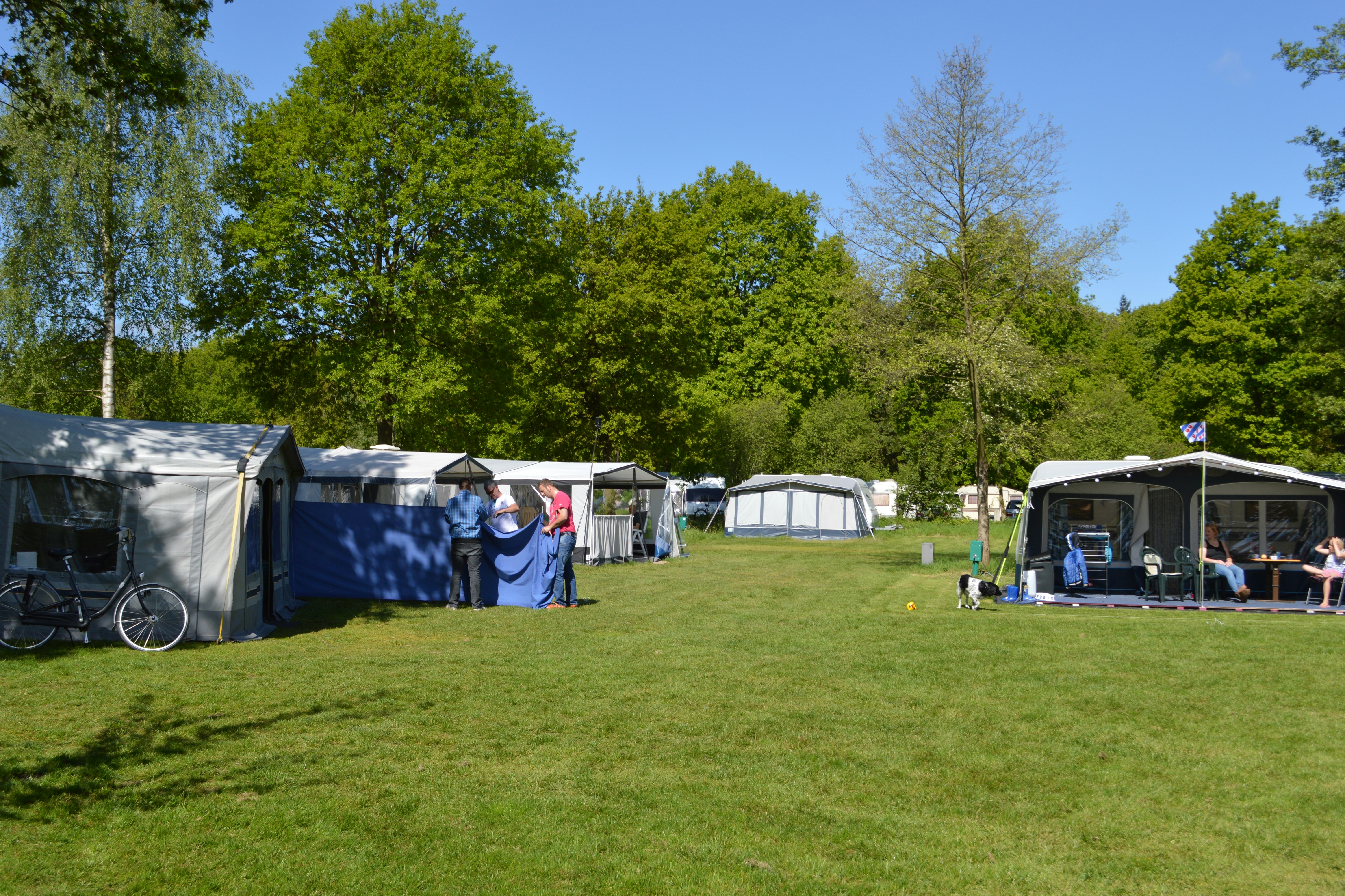 HUB Vakantieparken Drentse Weelde - Stellplätze auf der Wiese