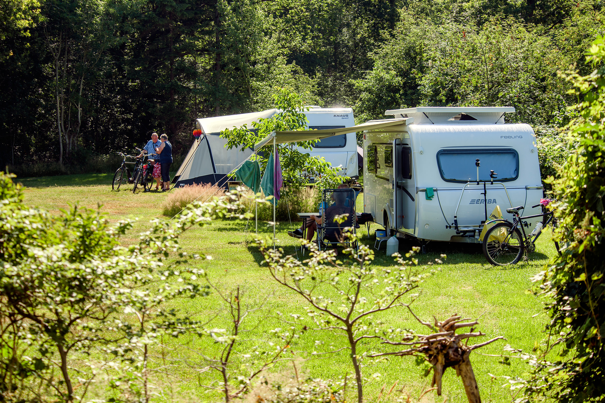 Huis in 't Veld