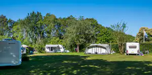 Campingwiese mit mehreren Zelten und einem Wohnwagen, umgeben von Bäumen und einem Weg im Hintergrund.