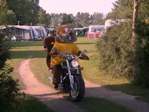 Hummingen Camping