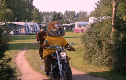 Hummingen Camping
