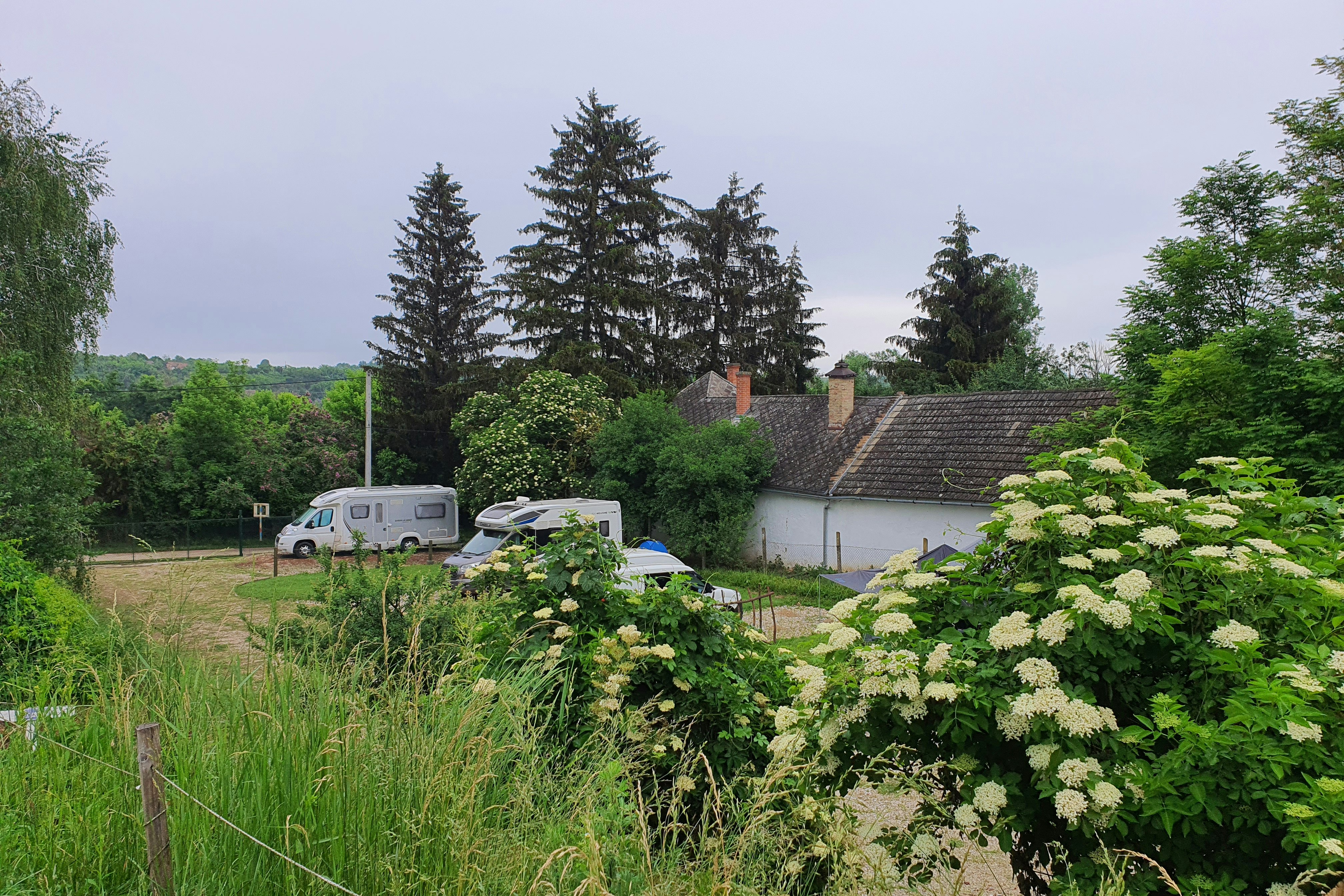 Koppány Pines Camping  Hungarian Country Camping - Standplätze im Grünen auf dem Campingplatz
