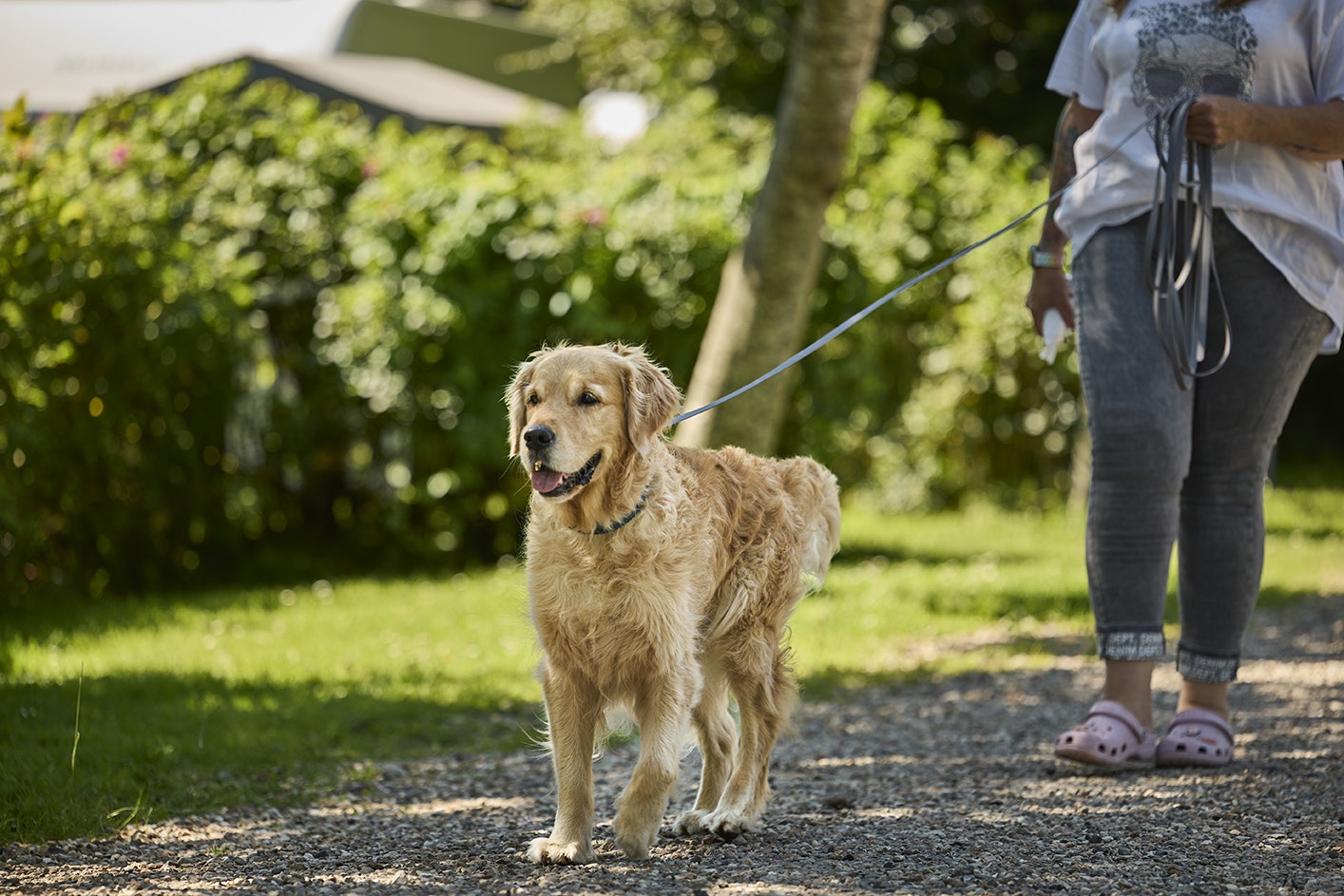 Horsens City Camping - Hunde willkommen auf dem Campingplatz