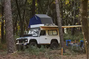 Huttopia Caminos de Galicia - Standplätze zwischen den Bäumen auf dem Campingplatz