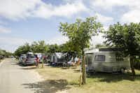 Huttopia Camping Côte Sauvage - Zeltplatz und Wohnwagenstellplatz zwischen den Bäumen auf dem Campingplatz