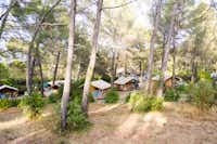 Huttopia Camping Fontvieille - Mobilheim mit Veranda auf dem Campingplatz