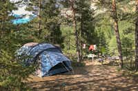 Huttopia Camping La Clarée - Zeltplatz im grünen Schatten auf dem Campingplatz