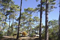 Huttopia Camping Lac de Carcans - Glamping Zeltplatz zwischen den Bäumen auf dem Campingplatz