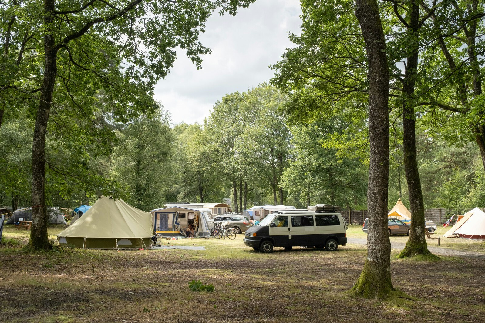 Huttopia Camping Lac de Sillé - Standplätze auf dem Campingplatz