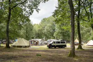 Campingplatz mit großen Zelten, Wohnmobil und Autos auf dem Stellplatz im Grünen zwischen hohen Bäumen.