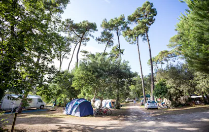 Huttopia Oléron Les Chênes Verts