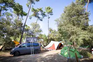 Huttopia Camping Oléron Les Chênes Verts - Standplätze auf dem Campingplatz