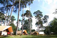 Huttopia Camping Rambouillet - Campingbereich für Zeltplatz unter Bäumen 