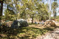 Huttopia Landes Sud - Zeltplatz vom Campingplatz auf dem Rasen im Schatten der Bäume