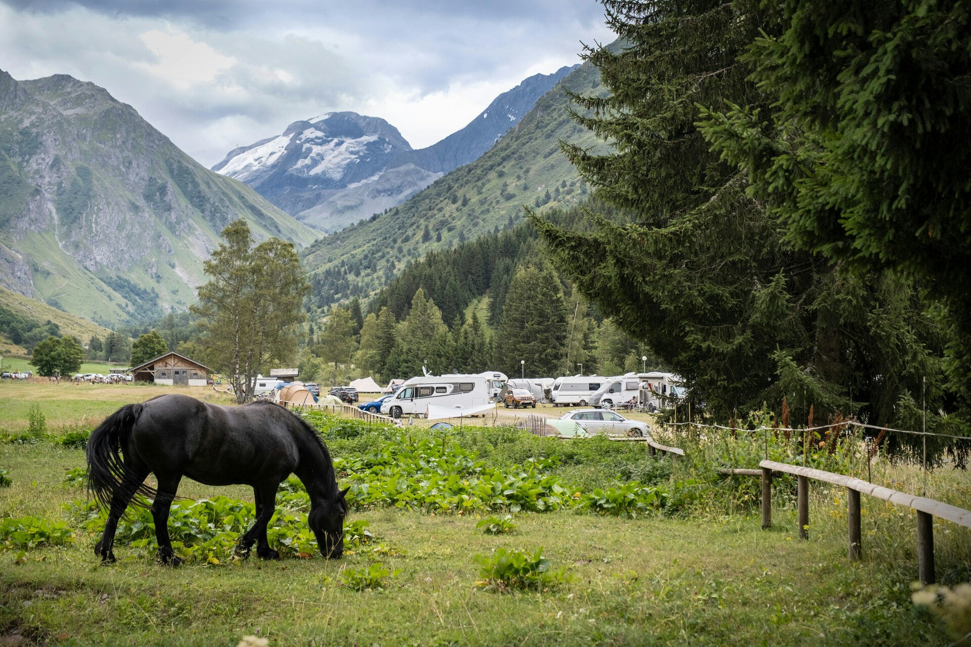 Huttopia Vanoise - Champagny  Huttopia Vanoise – Champagny - Pferd grast auf einer Weide neben der Standplatzwiese