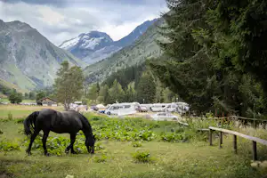 Schwarzes Pferd auf einer Wiese vor einem Campingplatz mit Wohnmobilen, Bäumen und Blick auf die Alpenberge.