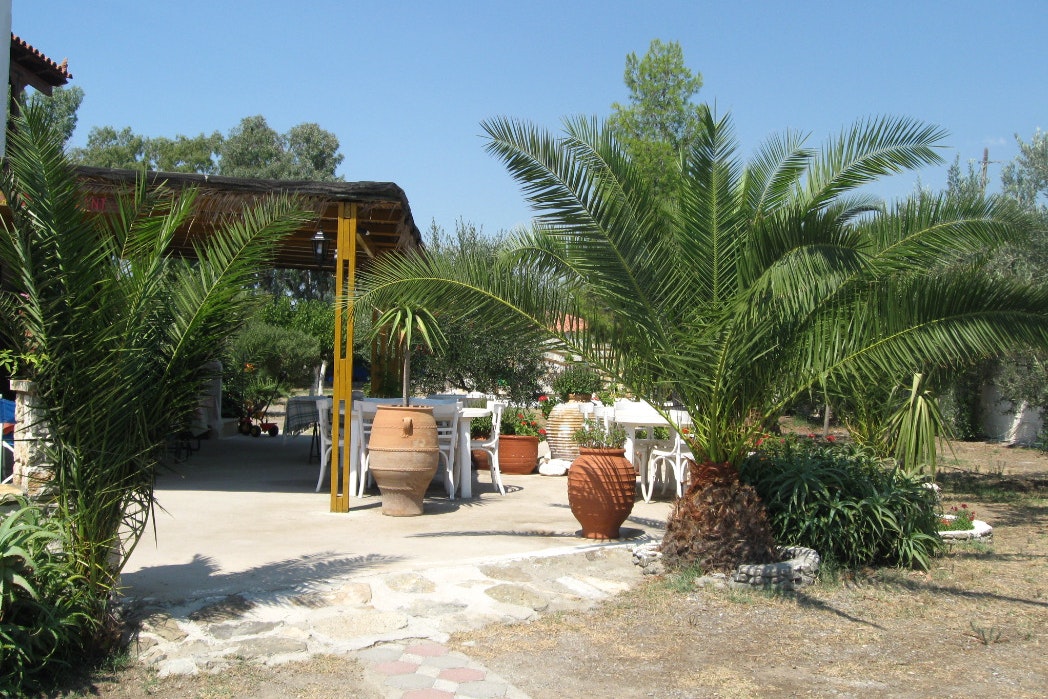 Hydra's Wave Camping - Restaurantbereich mit Sitzgelegenheiten im Freien