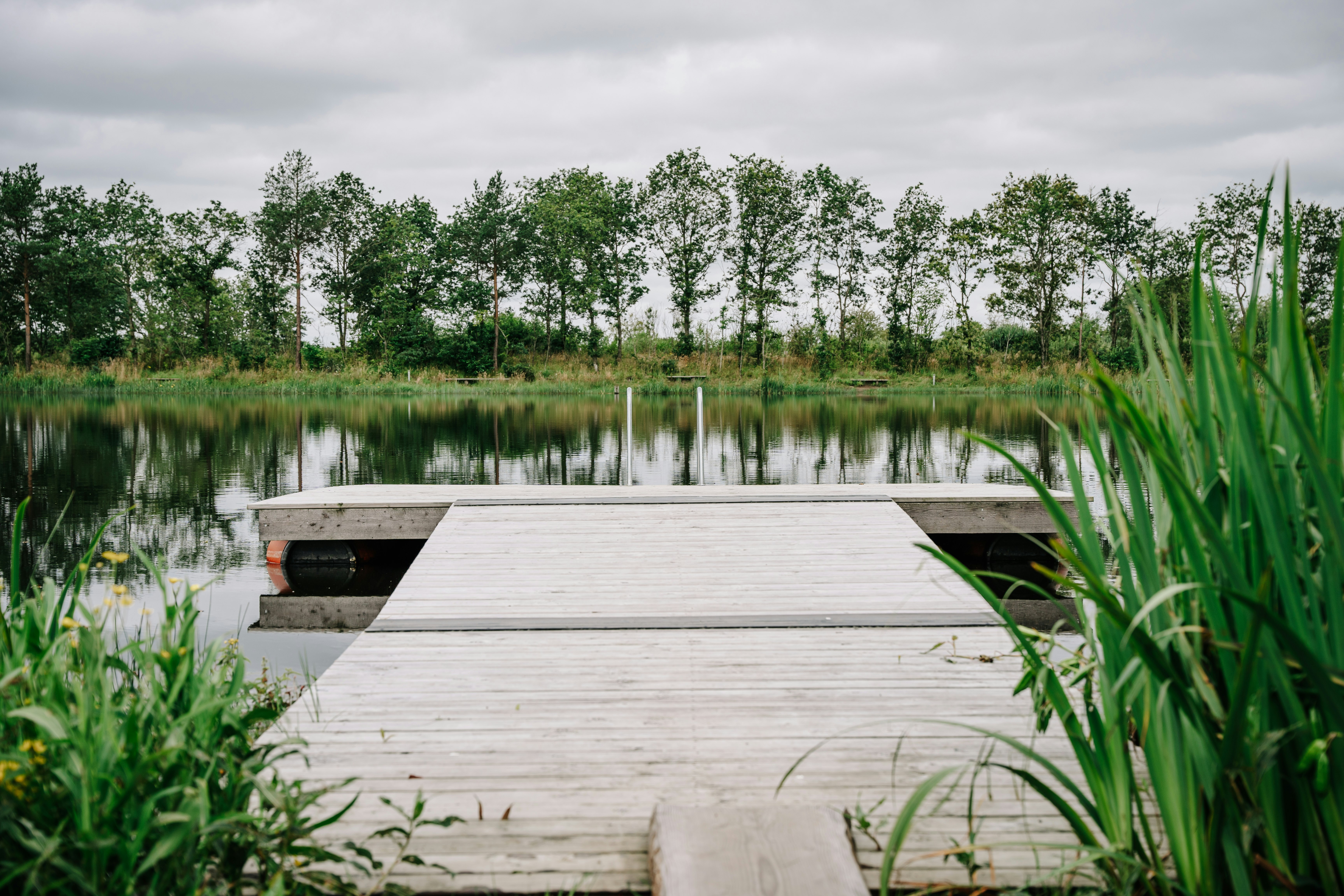 Hygge Lake - Blick auf den Badesteg am See