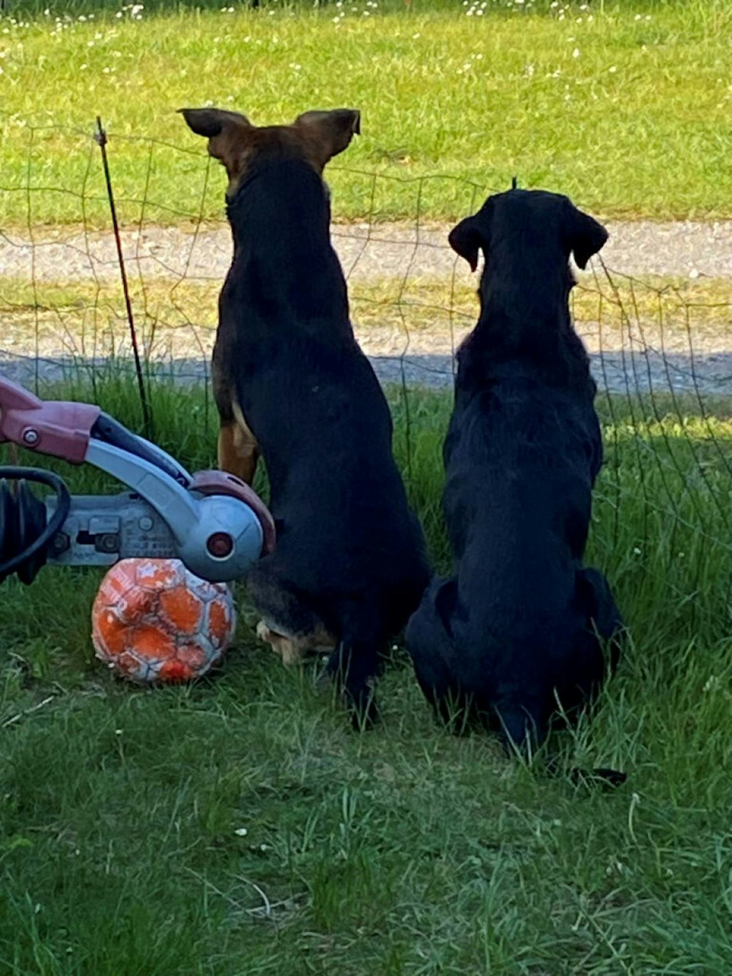 Hyldegaardens Camping