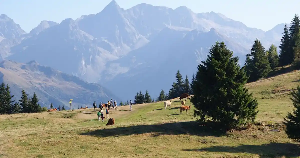Idéal Camping