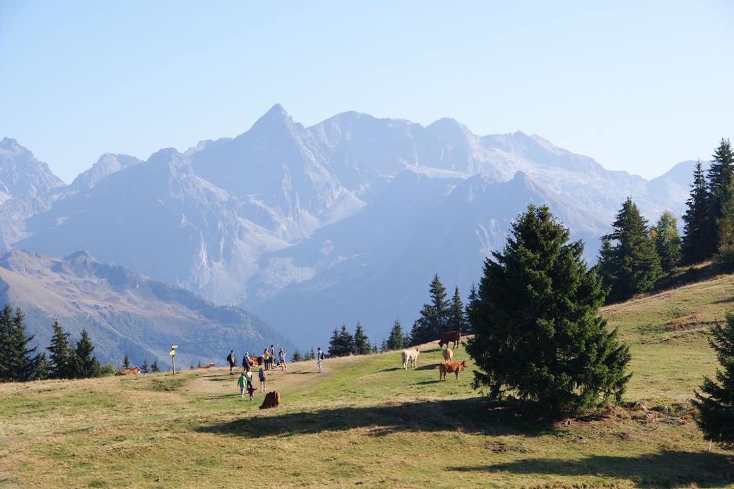 Idéal Camping -  Blick auf den Alpen in der Nähe vom Campingplatz