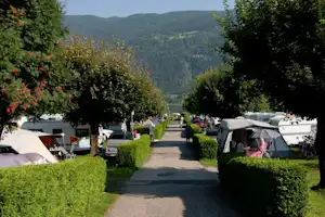 Idealcamping Lampele - Wohnwagen- und Zeltstellplatz zwischen Bäumen auf dem Campingplatz