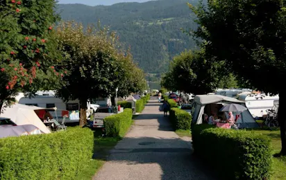 Ideal Camping Lampele