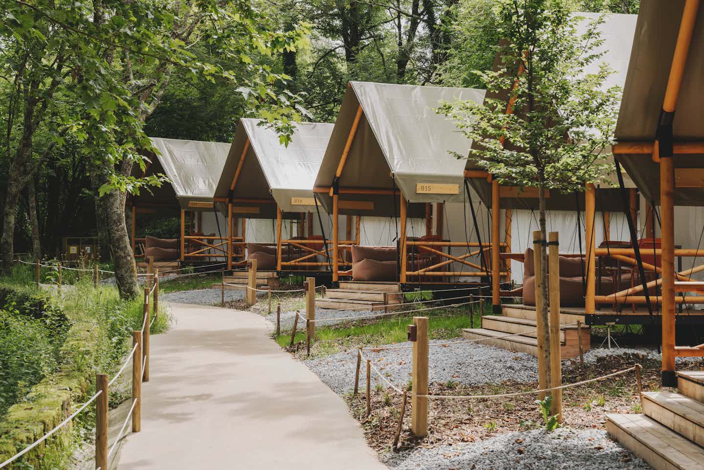wecamp San Sebastián