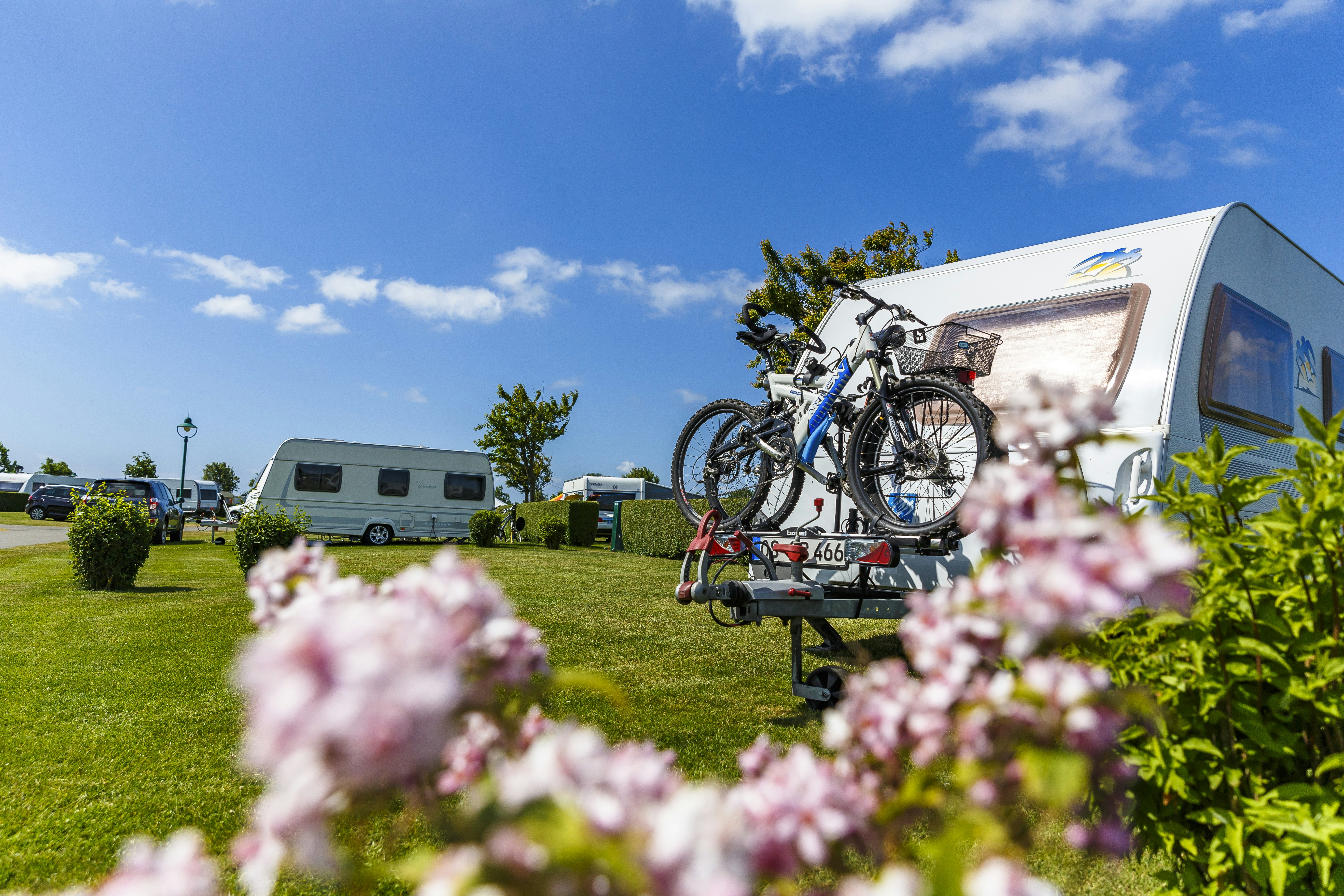 Insel-Camp Fehmarn - Standplätze auf dem Campingplatz