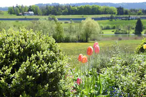 Insel-Camping am See - Campingplatz im Grünen