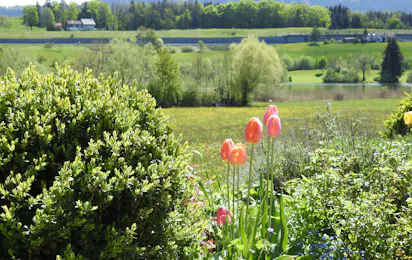 Insel-Camping am See