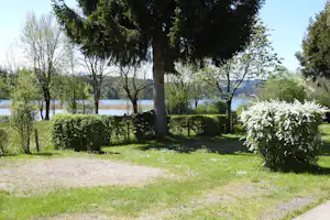 Insel-Camping am See - Wohnmobil- und Wohnwagenstellplätze im Schatten der Bäume