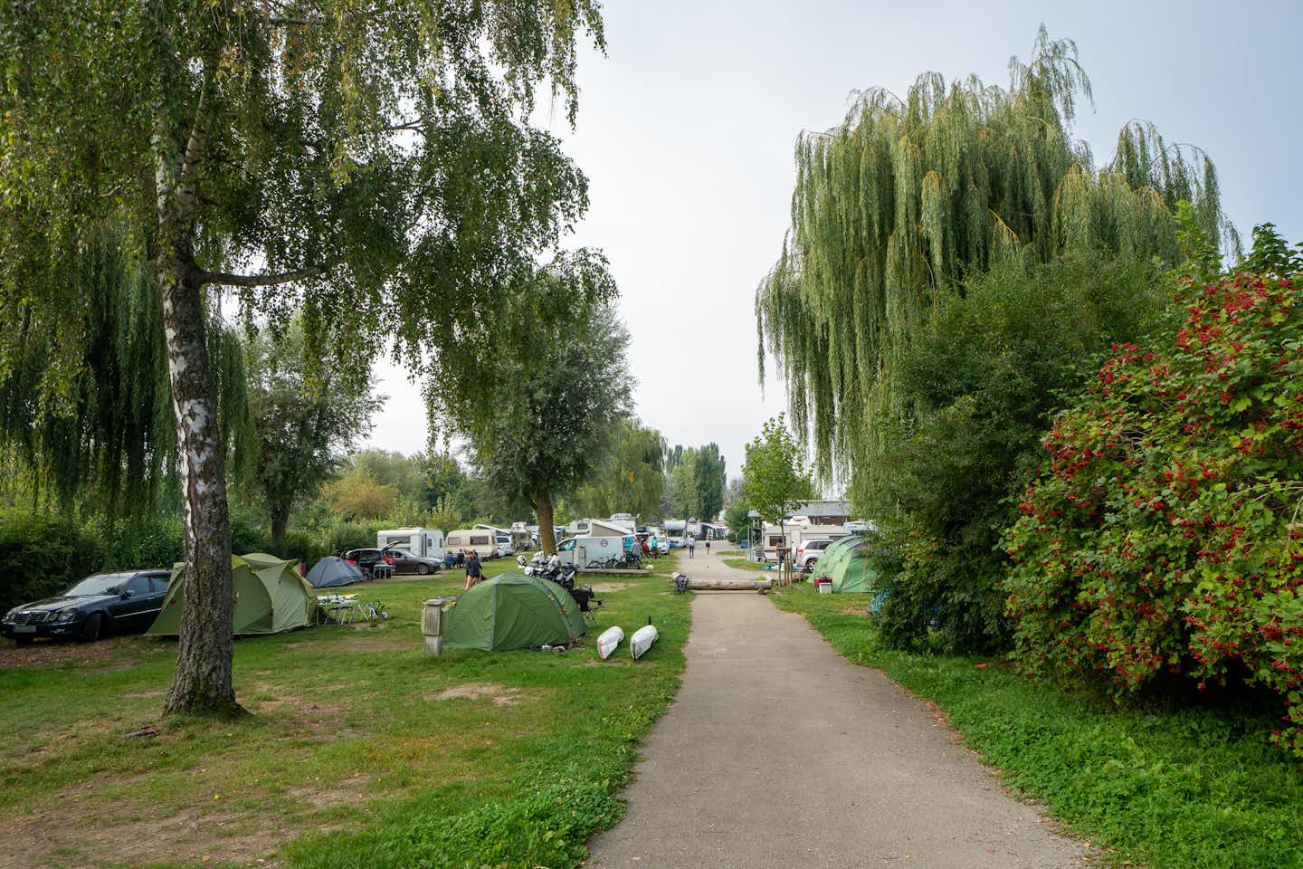 Insel-Campingplatz Sandseele - Wohnmobil- und  Wohnwagenstellplätze im Schatten der Bäume auf der Wiese