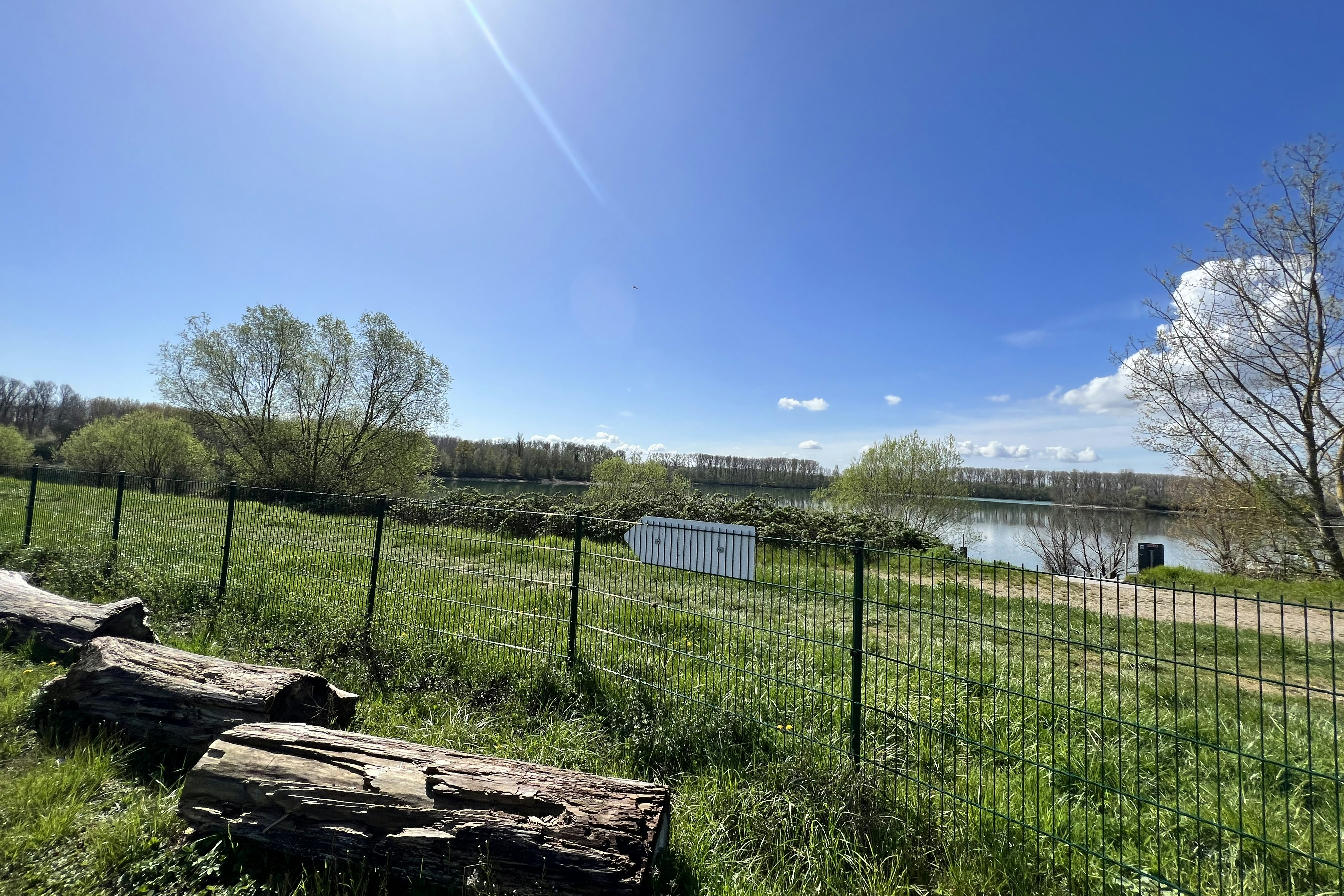 Inselcamping Kollersee - Blick auf den See vom Campingplatz aus