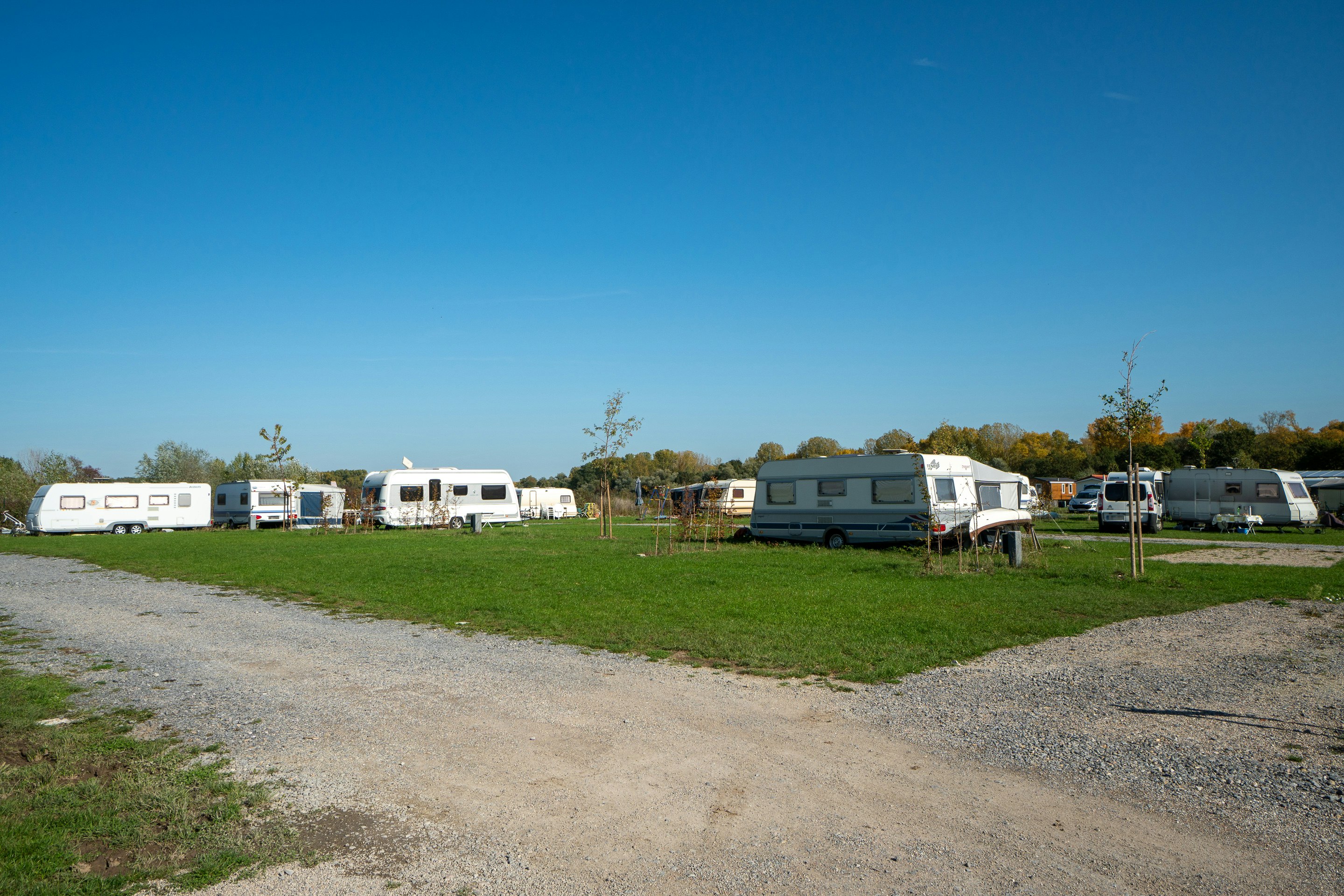 Inselcamping Kollersee - Standplatz