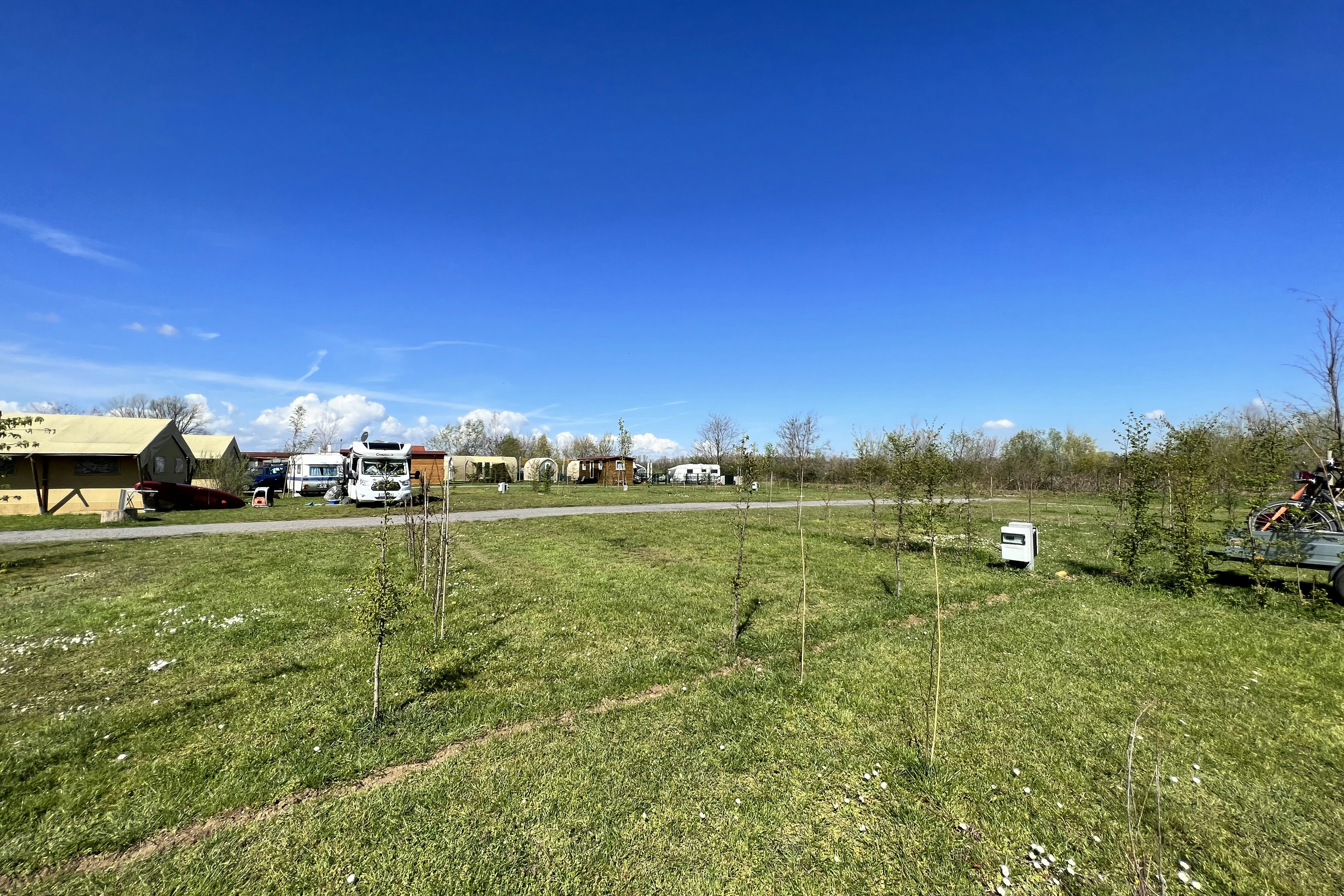 Inselcamping Kollersee - Stellplätze auf dem Campingplatz