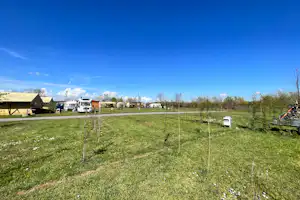 Inselcamping Kollersee - Stellplätze auf dem Campingplatz