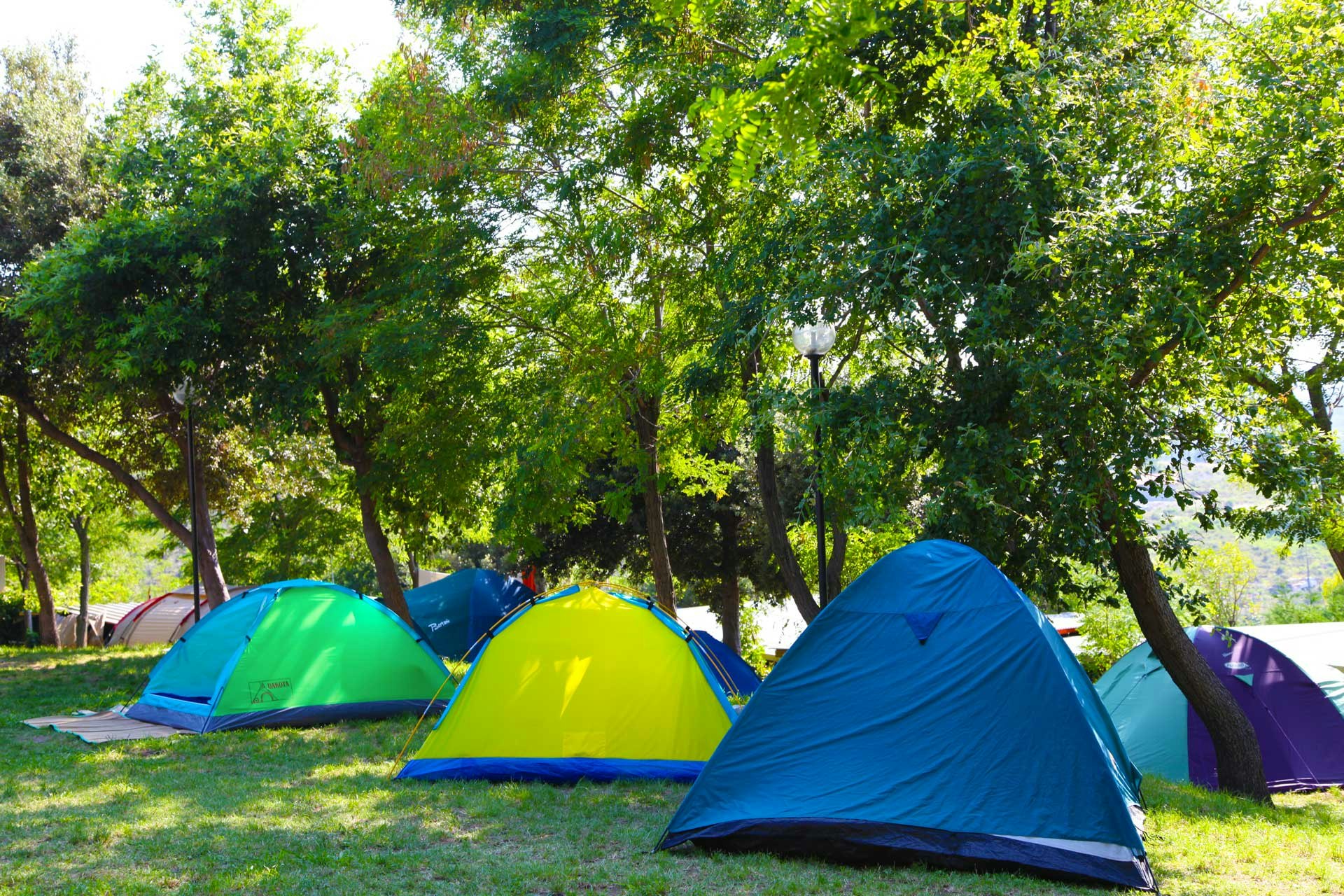 Green Family Park Europa  International Camping Europa Unita - Zeltwiese auf dem Campingplatz