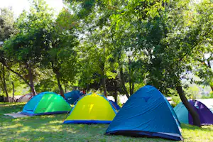 Green Family Park Europa International Camping Europa Unita - Zeltwiese auf dem Campingplatz