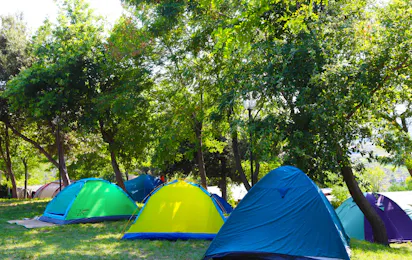 Green Family Park Europa