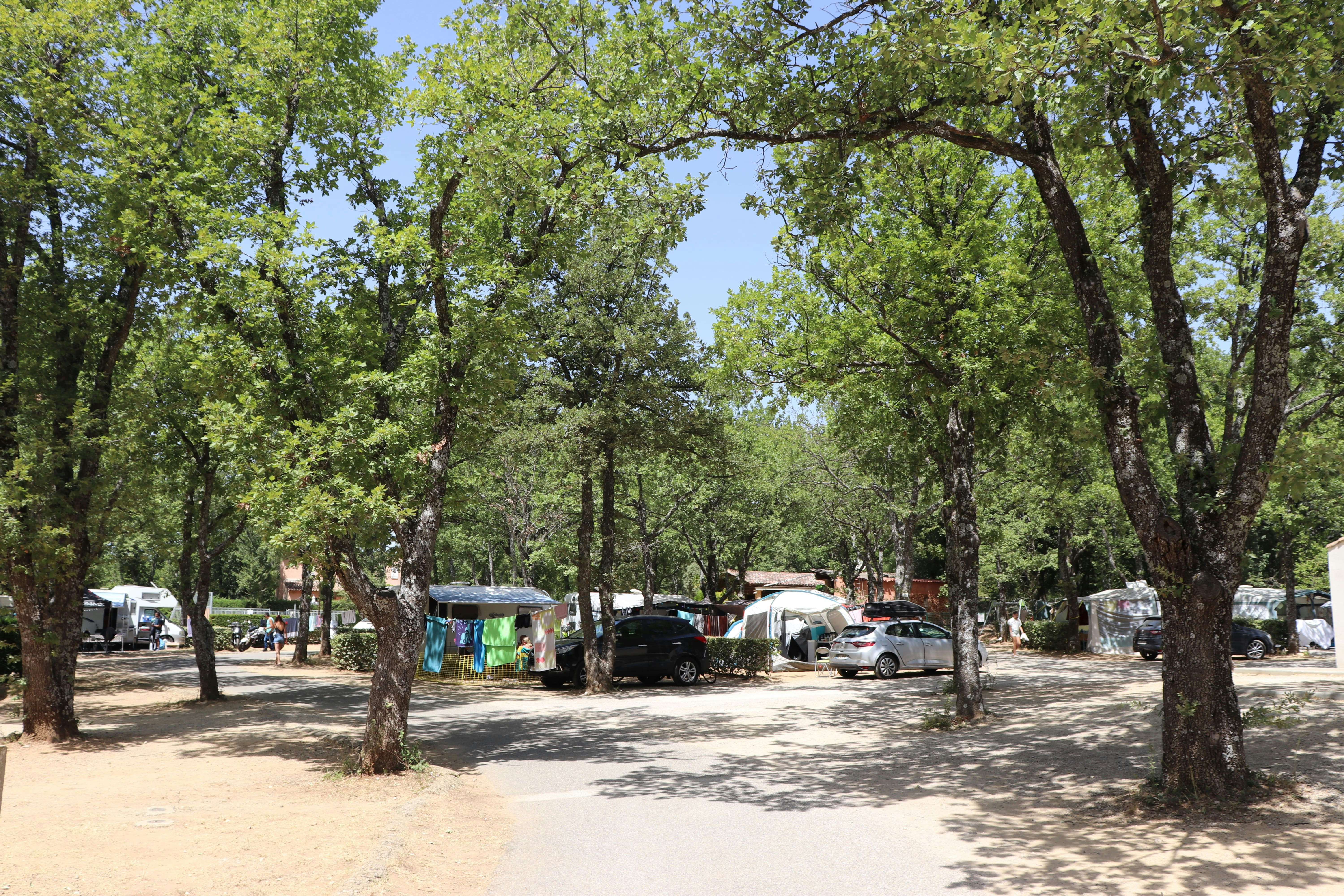 International Camping - Standplätze zwischen den Bäumen auf dem Campingplatz
