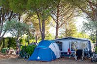 International Camping- Camper sitzen vor dem Zelt im Grünen auf dem Campingplatz