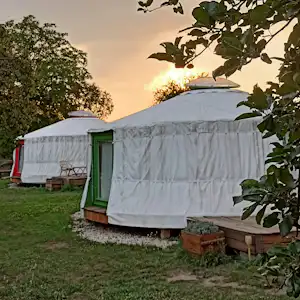 Zeltunterkunft auf einem Campingplatz im Grünen, mit Holzpodest, kleinen Pflanzen und Bäumen im Vordergrund.