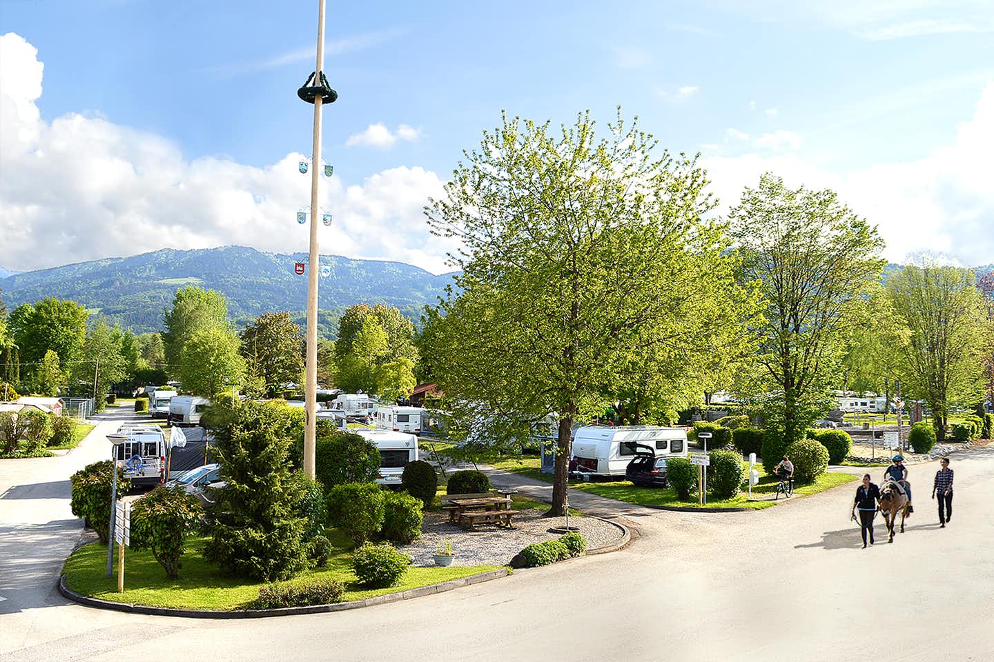 Kaiser Camping - Gelände des Campingplatzes mit den Wohnmobilstellplätzen mit dem Blick auf die Berge