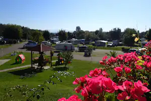 Kaiserstuhl-Camping - Wohnwagen und Wohnmobile auf dem Stellplatz vom Campingplatz im Grünen