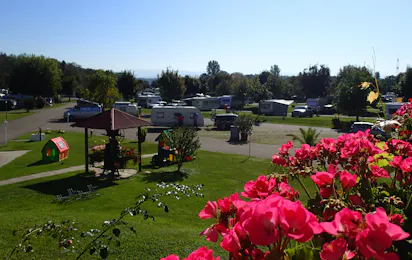 Kaiserstuhl-Camping